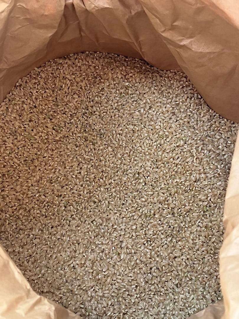 令6年産福井コシヒカリ1等 玄米18.5kg 9.25㎏を2本　送料込 低温保管