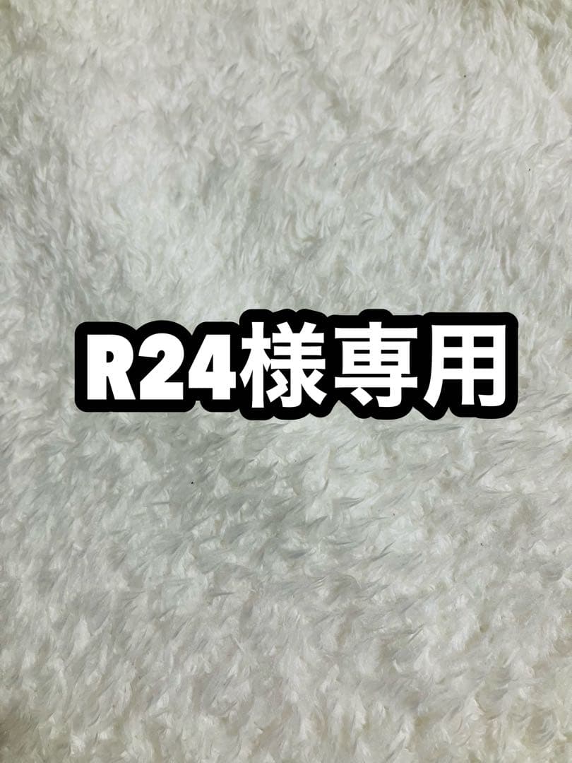 R24 PSA10 メガリザードンY ex mur 2/4