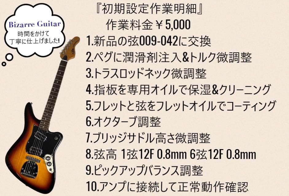 ✨未使用✨ARIA ビザールギター RETRO 1532J