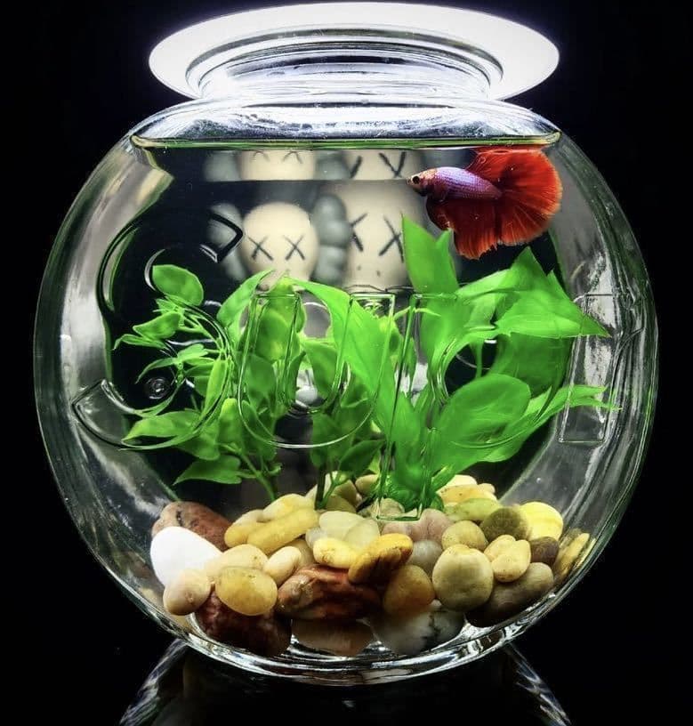 新品⭐シュプリーム⭐ロゴ ガラス アクアリウム 水槽 金魚鉢 テラリウム 花瓶