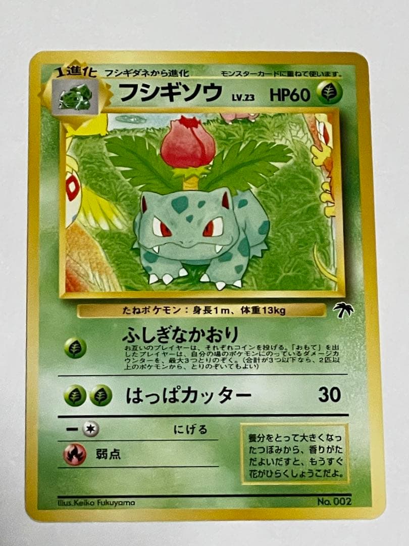 ポケモンカード 旧裏 サザンアイランド トゲピー フシギソウ ラッタ