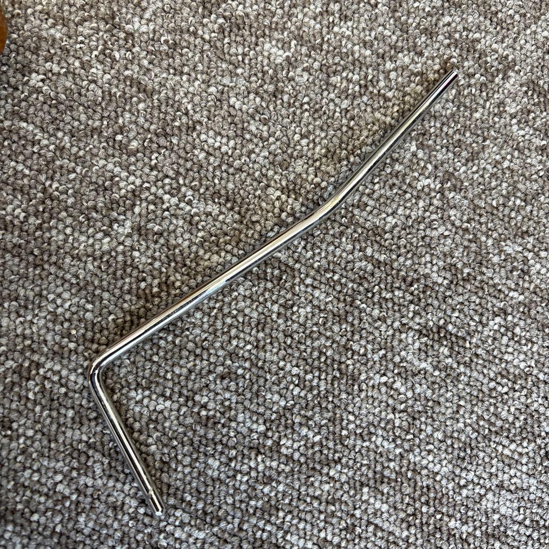 PRS SE SANTANA エレキギター　バード　ダンカン