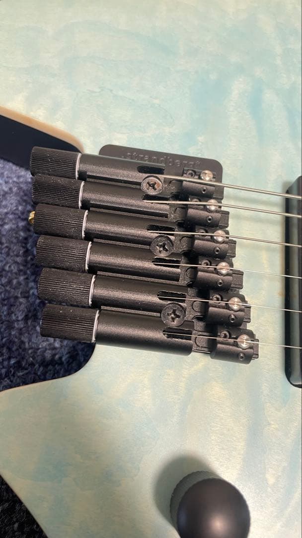 strandberg boden ras6 ギター本体・ケースのみ