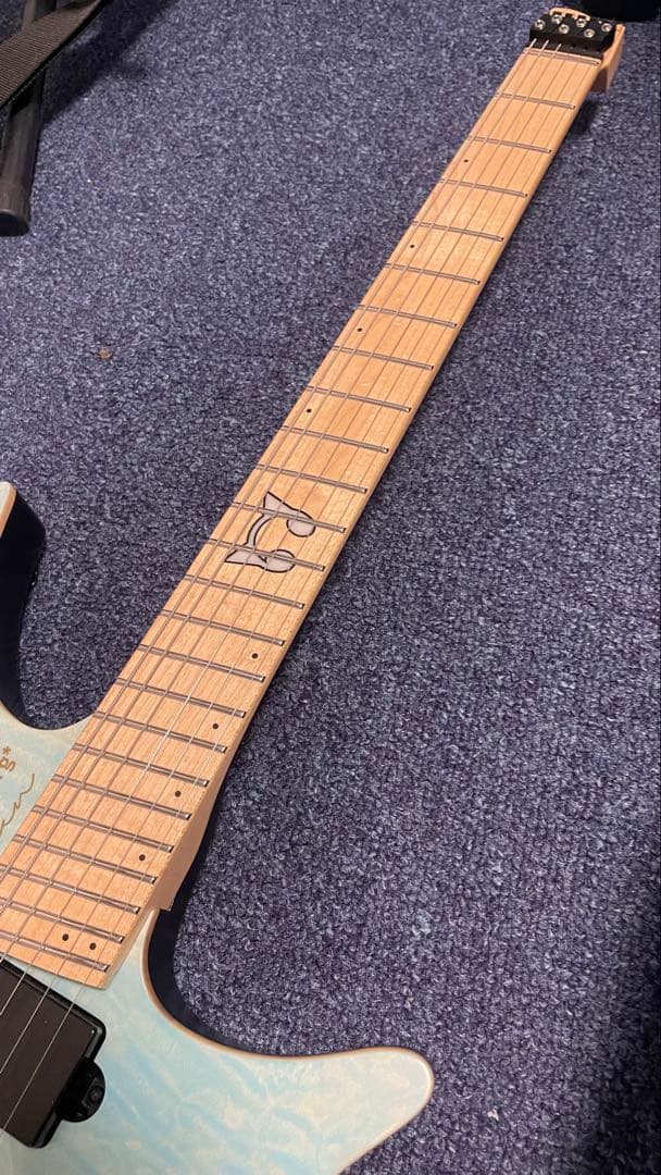strandberg boden ras6 ギター本体・ケースのみ