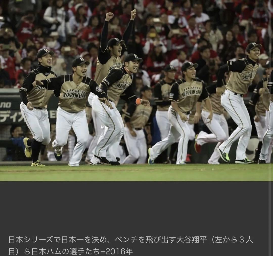北海道日本ハムファイターズ　大谷翔平選手ユニフォーム　ビジターモデル　Mサイズ