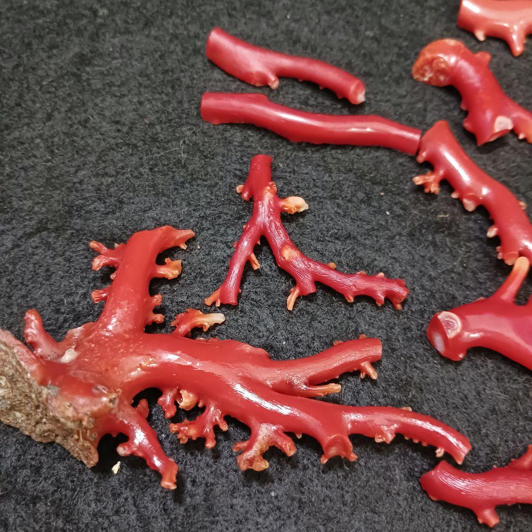 赤珊瑚 原木 枝 16点 総重量99.2g　ね