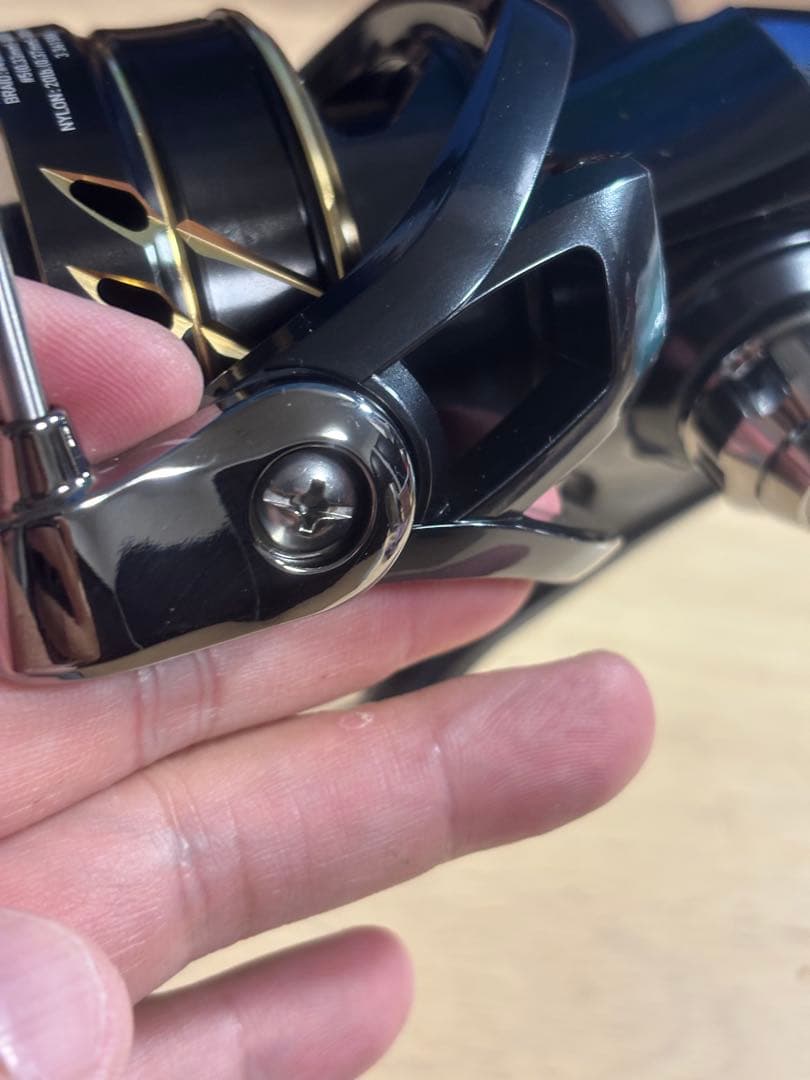 ダイワ CALDIA カルディア SW 10000 P