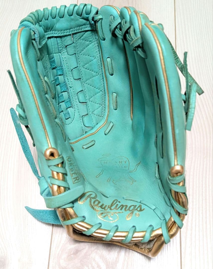 Rawlings　軟式一般用グローブ　別注