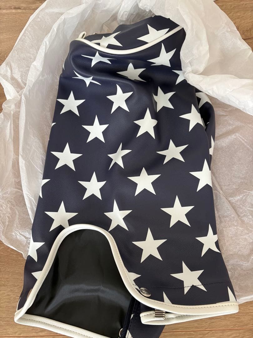 最終値下げ CONVERSE 星柄キャディバッグ