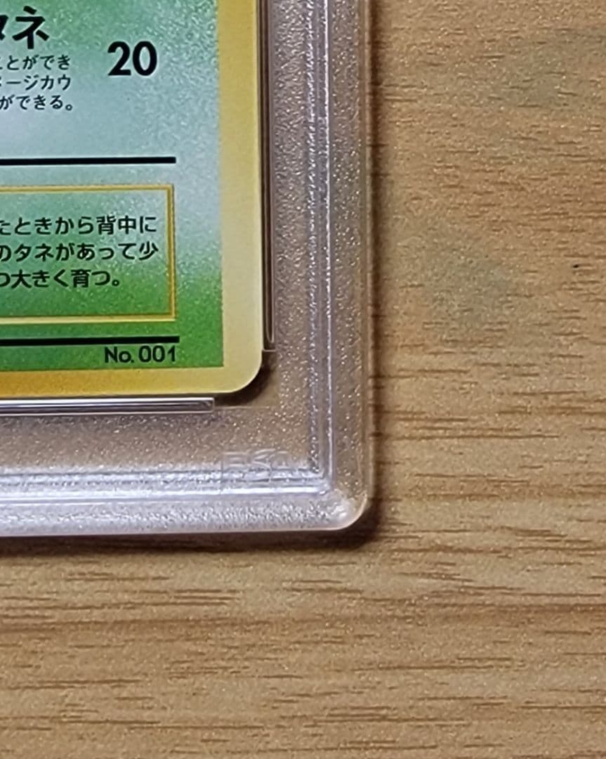【PSA7 フシギダネ】ポケモンカード 旧裏 初版 マークなし