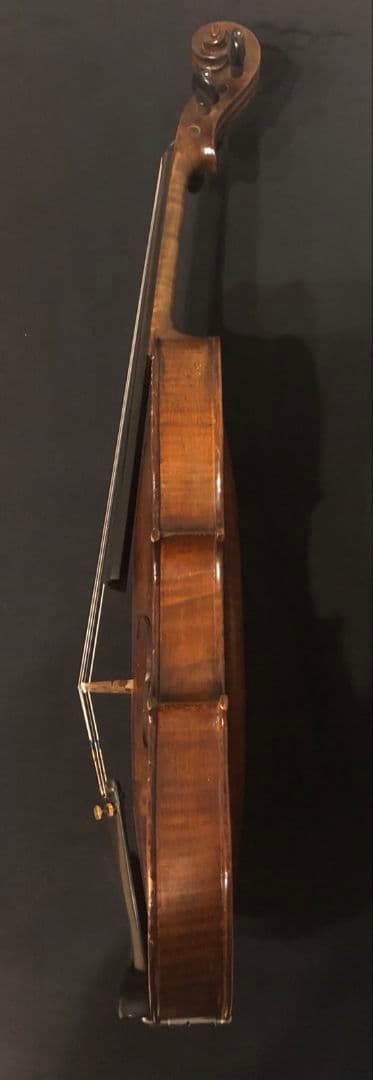 バイオリン 本体 アマティモデル ca.1900