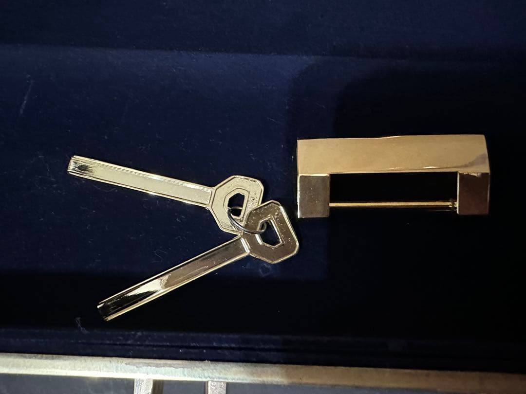 黄金に輝く宝箱　特大サイズ