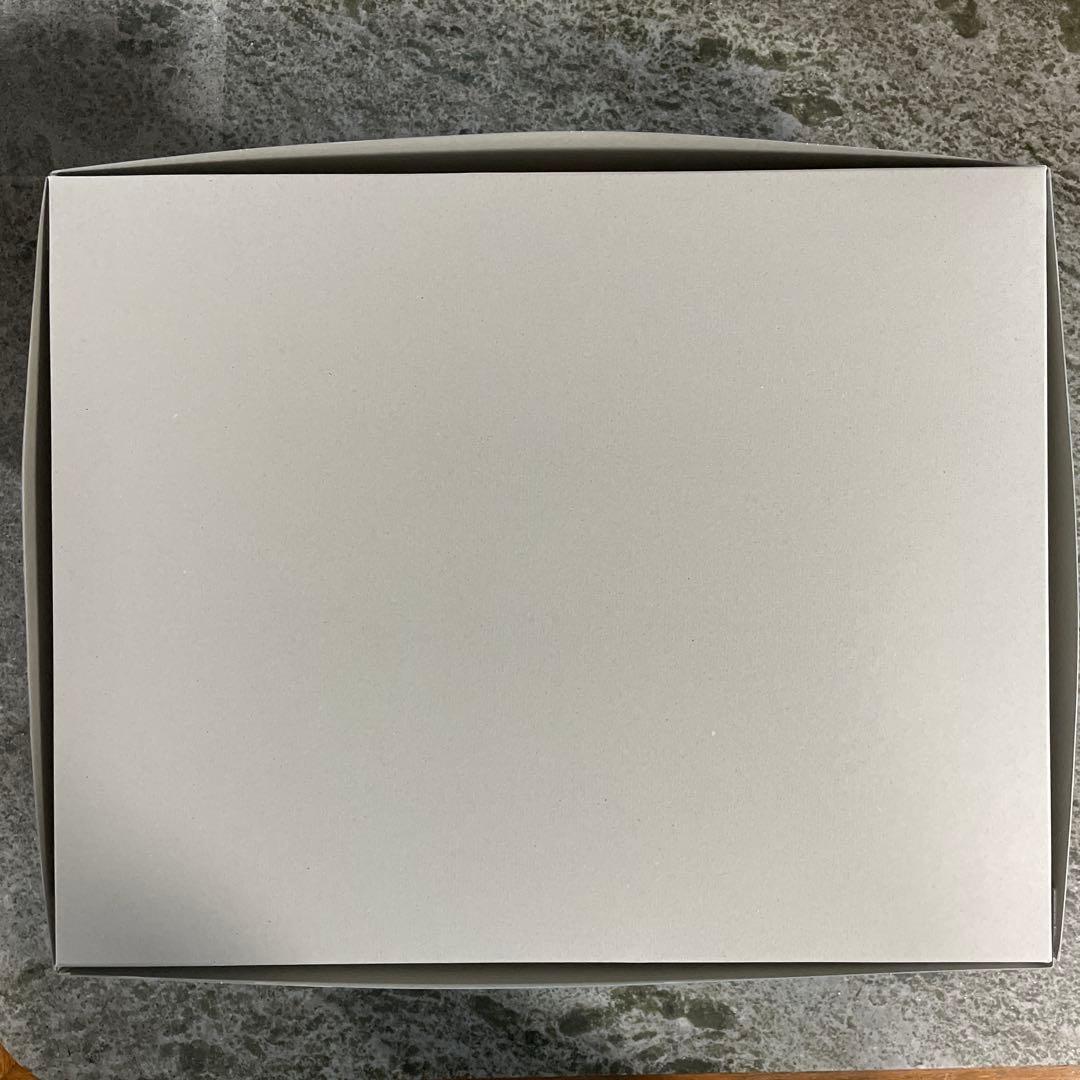 MG 1/100 ガンダムMk-V 　クリアカラー