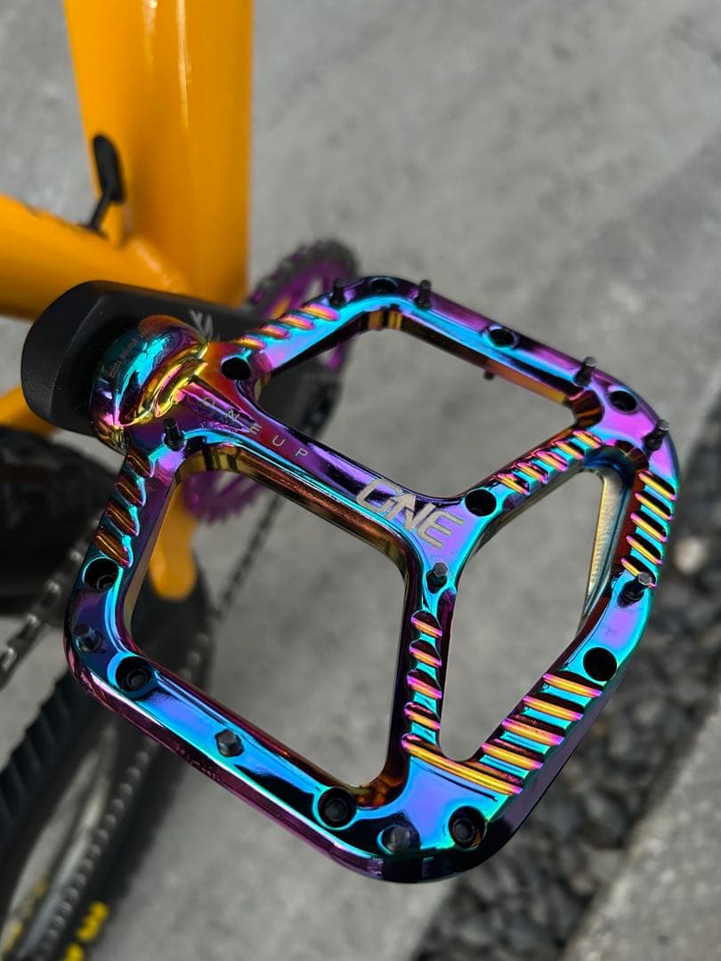 ① SANTA CRUZ chameleon カメレオン　サンタクルーズ　極美品