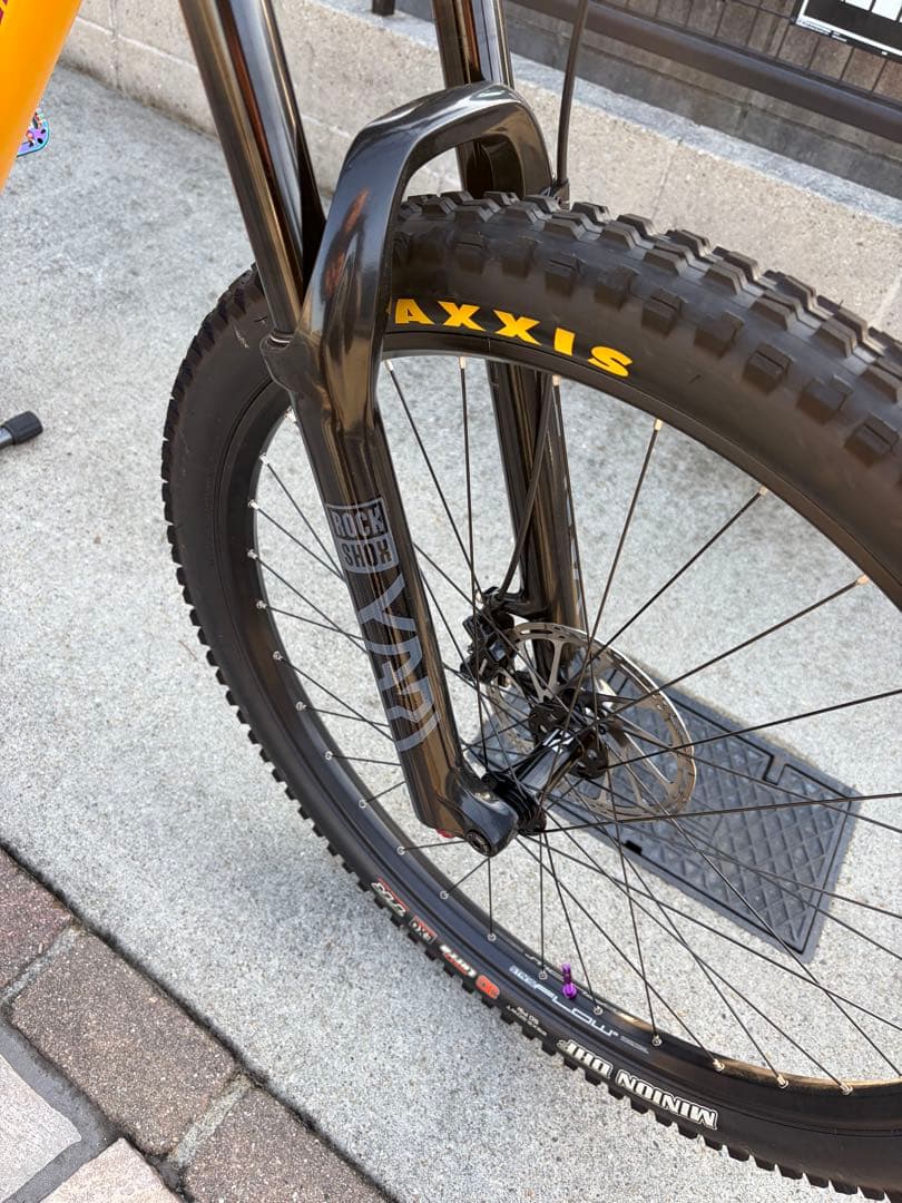 ① SANTA CRUZ chameleon カメレオン　サンタクルーズ　極美品