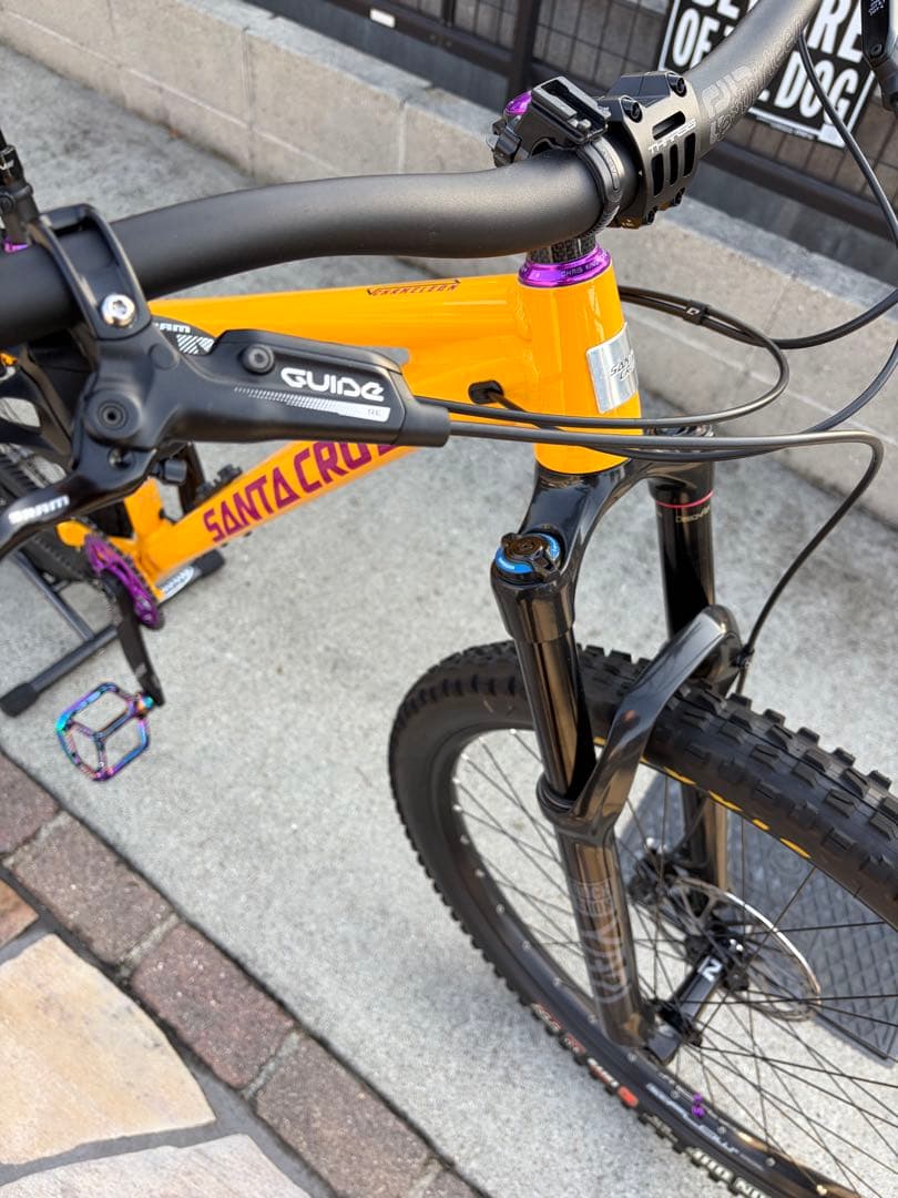 ① SANTA CRUZ chameleon カメレオン　サンタクルーズ　極美品