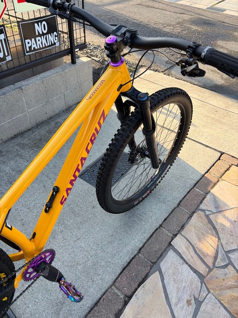 ① SANTA CRUZ chameleon カメレオン　サンタクルーズ　極美品