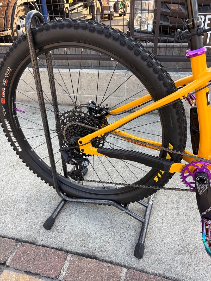 ① SANTA CRUZ chameleon カメレオン　サンタクルーズ　極美品