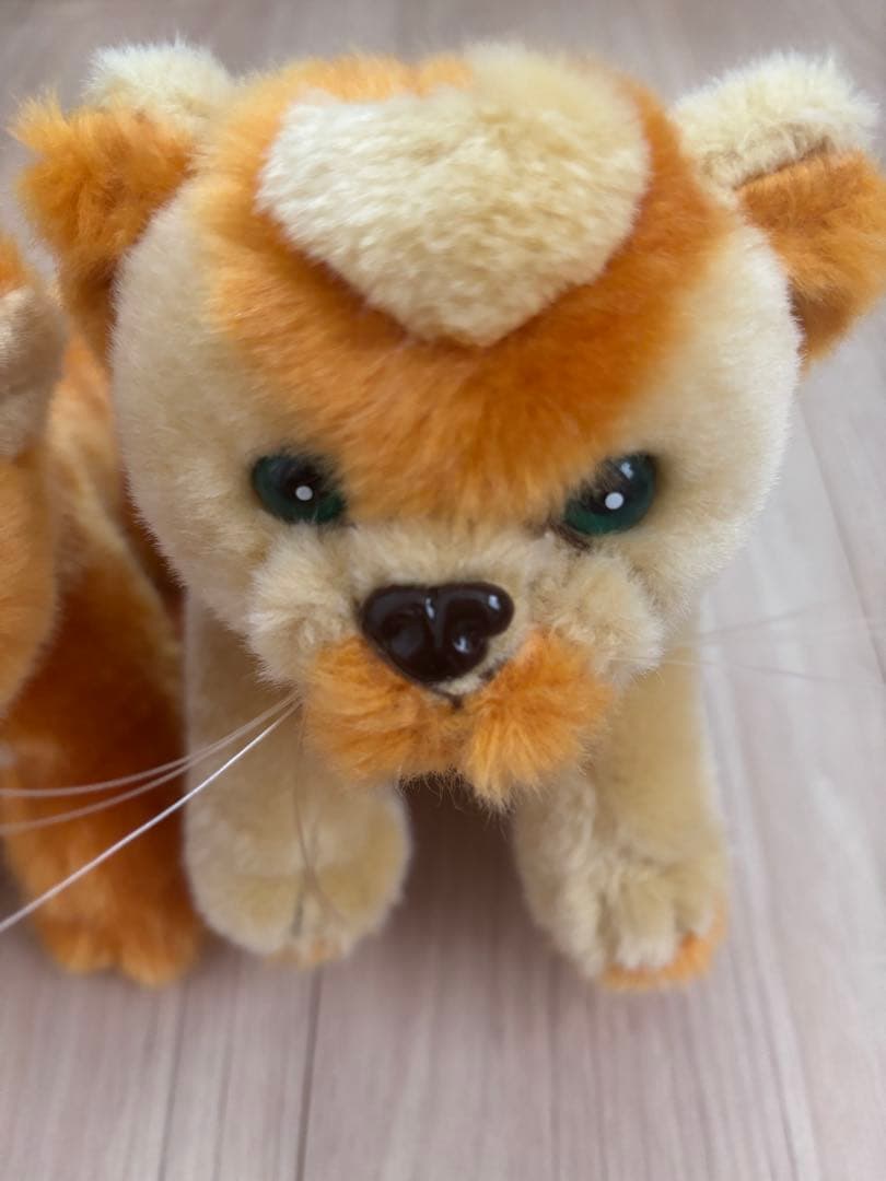 ⭐︎MISIA ハートのレオナ⭐︎