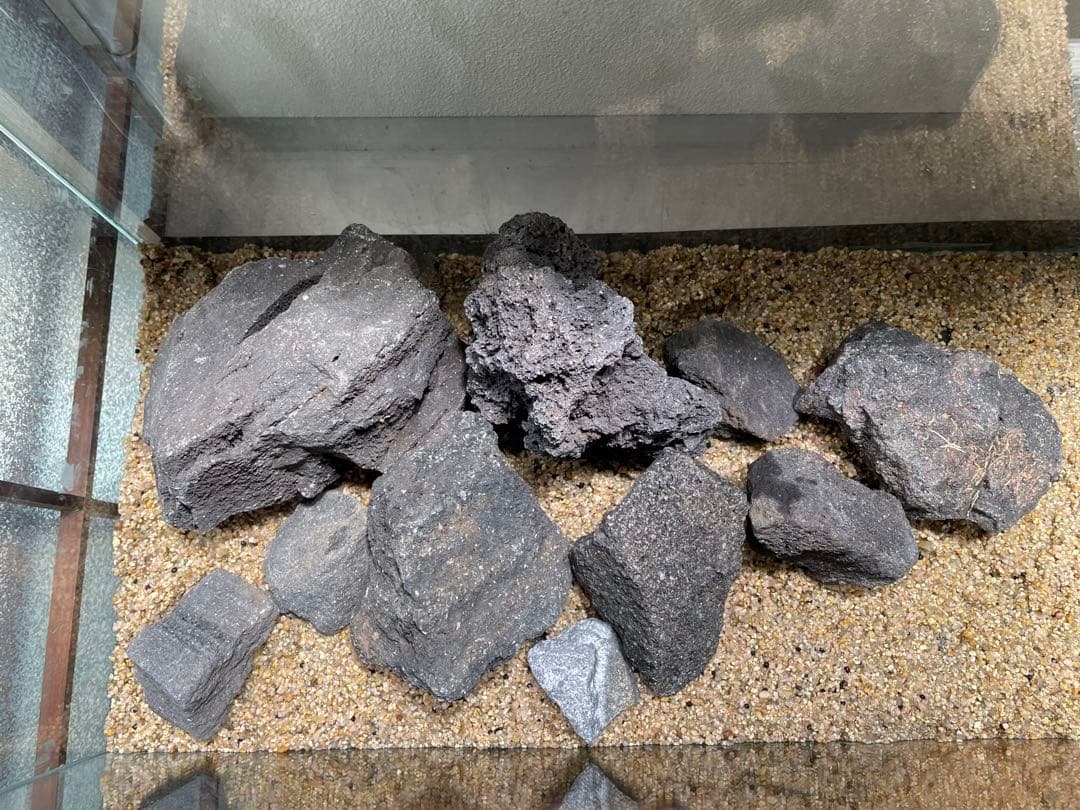 ADA 山水石　苔石