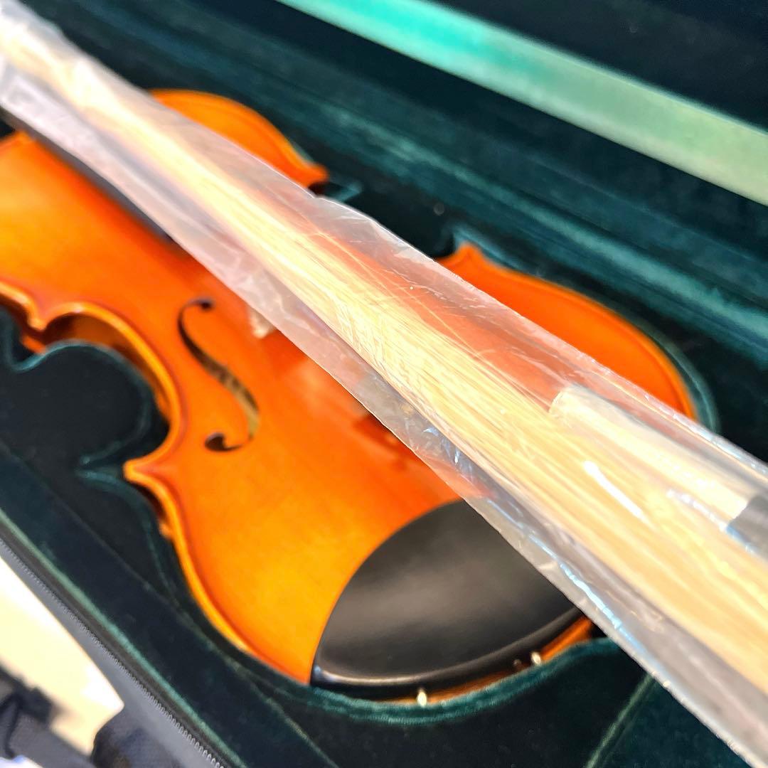 【美品】Franz Sandner 4/4 2006年製 フランツザンドナー虎杢