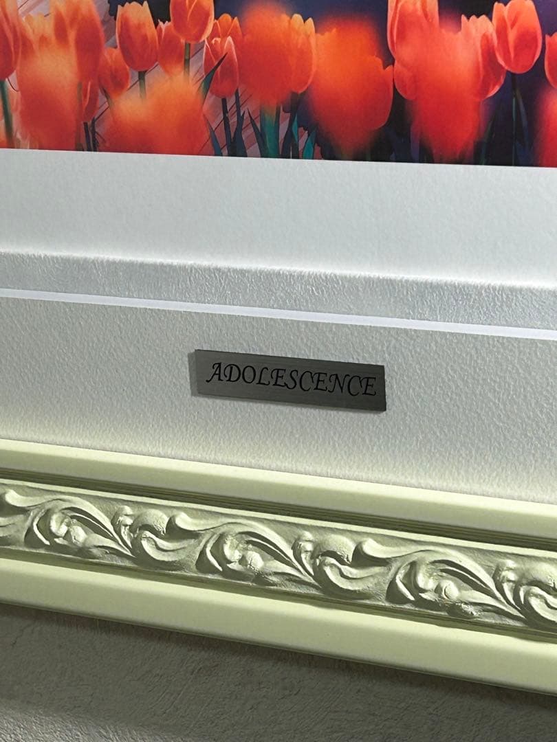 Hiten 版画 DX版 ADOLESCENCE アールビバン　アールジュネス