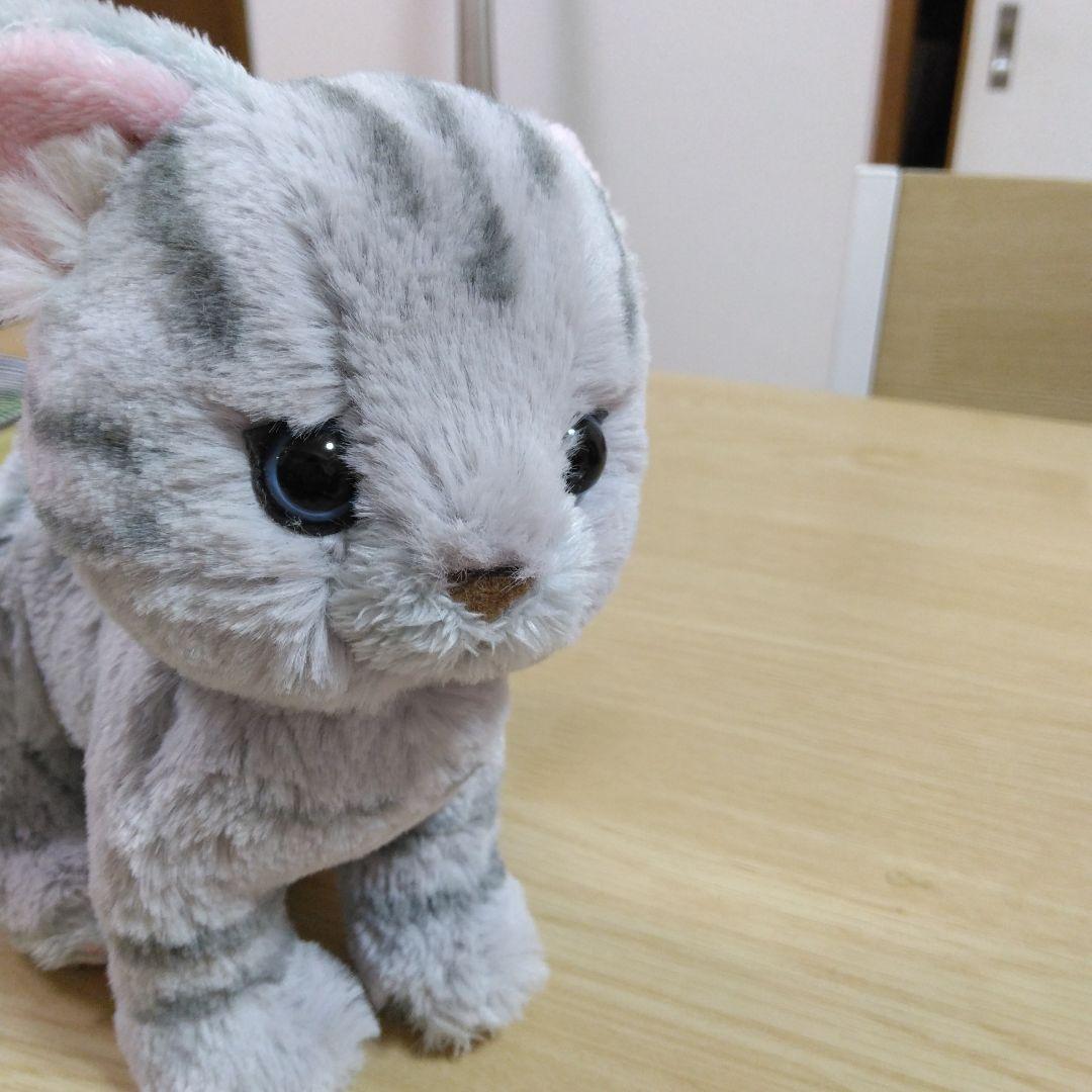 猫のぬいぐるみ