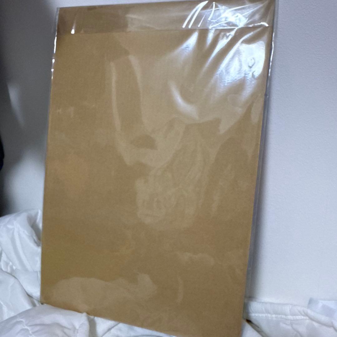 激レア　チェンソーマン　活版印刷ポスター　早川アキ　限定品