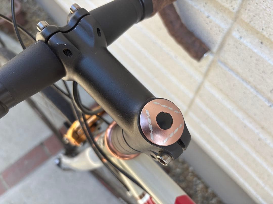 BH DESEO(デセオ）100周年記念モデル　クロモリロード