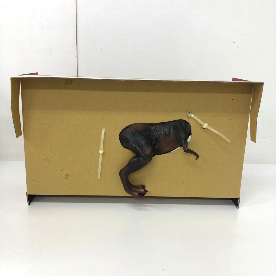 212-H ツクダホビー ティラノサウルス・レックス JPM-01