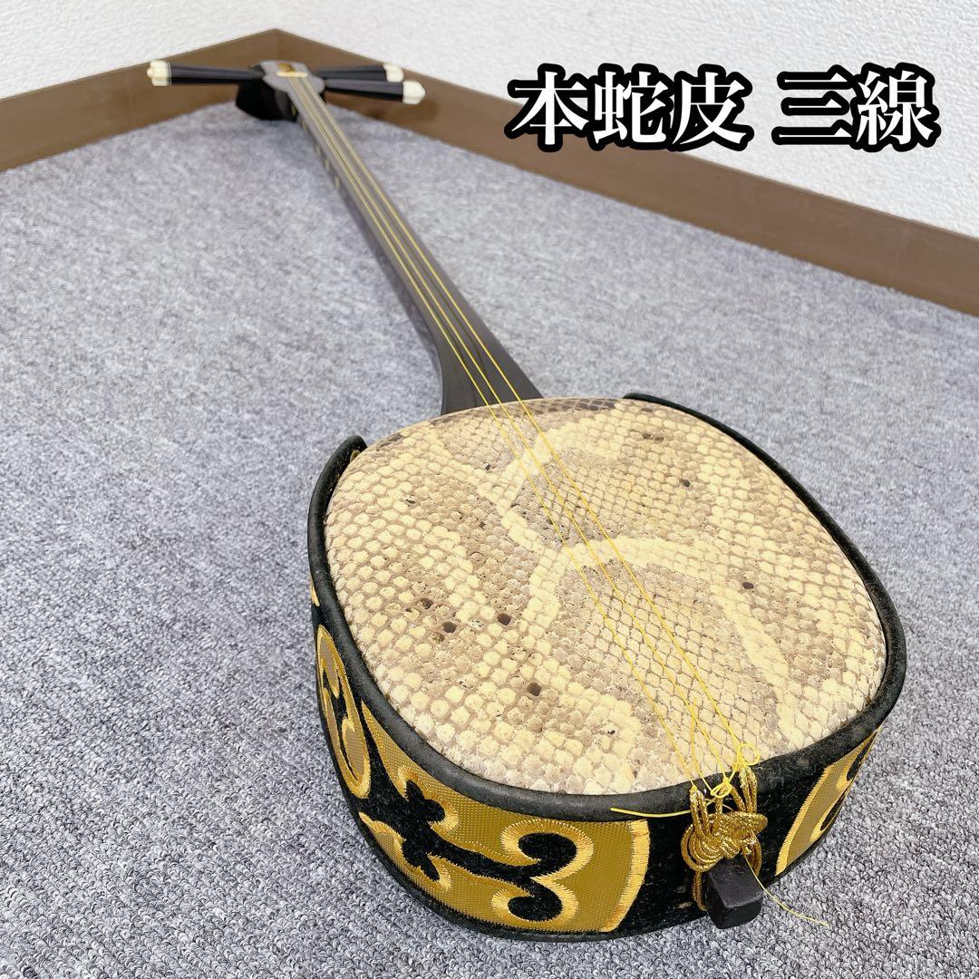 沖縄 三線 本蛇皮 沖縄 民謡 沖縄民謡