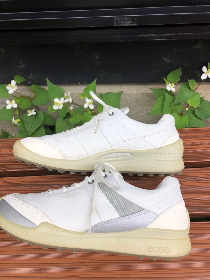 335番 美品ECCO バイオム ゴルフシューズ 38 24.0cmスパイクレス