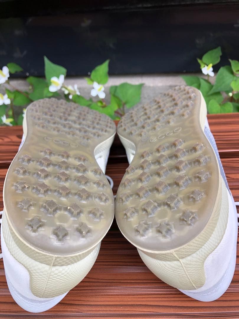 335番 美品ECCO バイオム ゴルフシューズ 38 24.0cmスパイクレス