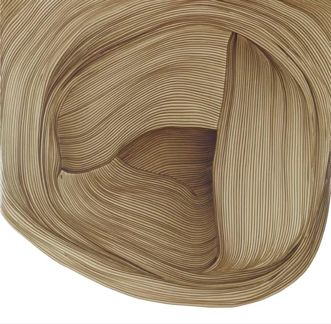 WRONGSHOP ロナン・ブルレック Drawing 5特注フレームセット