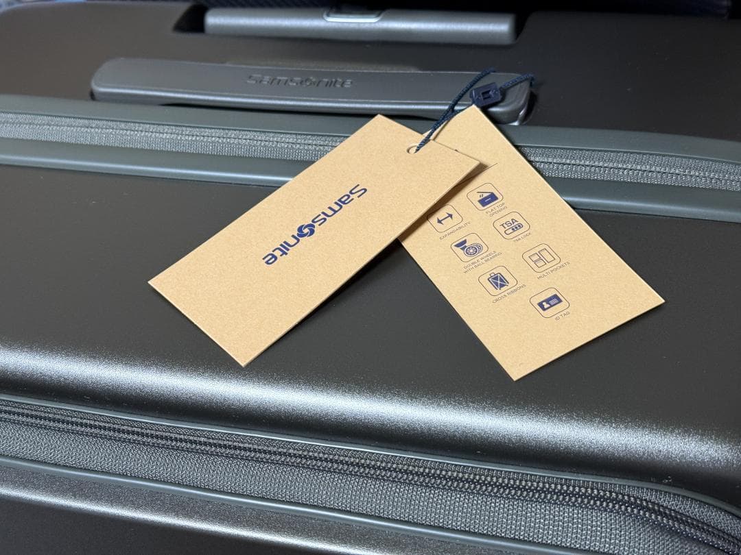 【新品】Samsonite スーツケース FLATFORM スピナー66 EXP