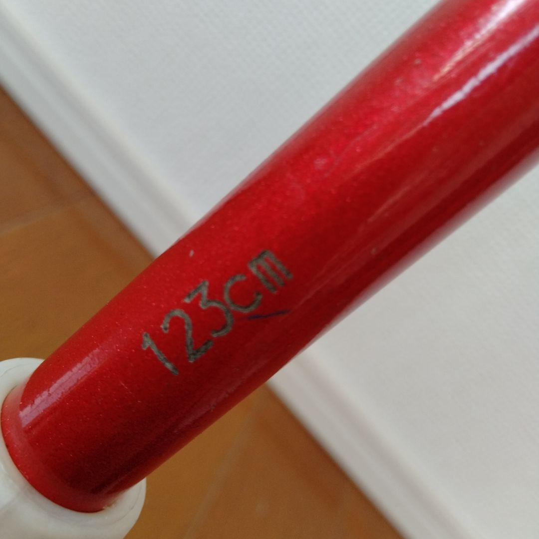 SINANO INTRA カーボンポール123cm　シナノイントラ