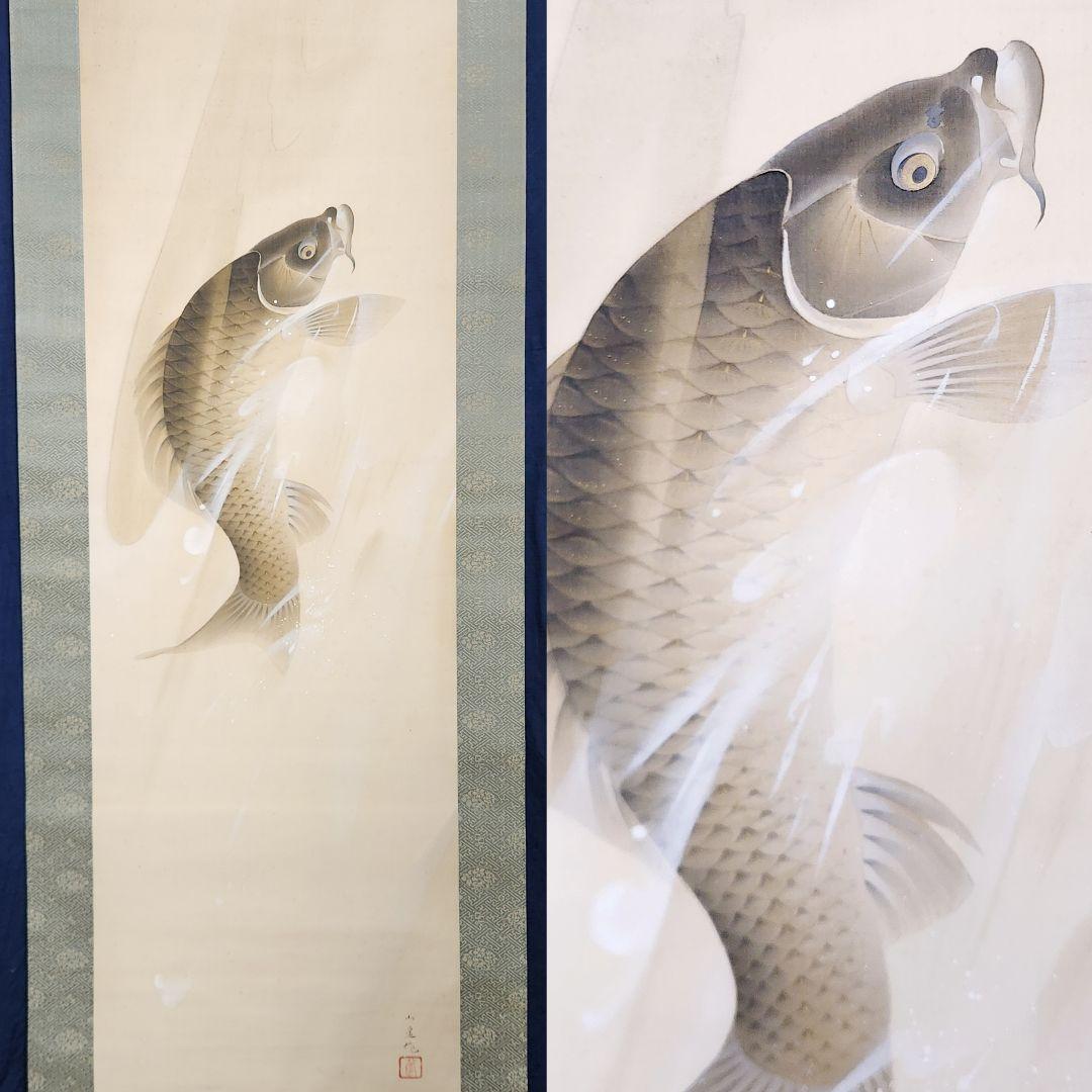 【鯉滝登り図】戸田北遥 2705 登竜門 肉筆 掛け軸