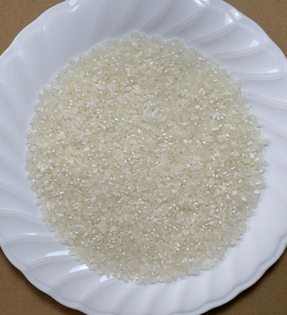 高食味❗️令和7年 我が家低農薬栽培 高知コシヒカリ玄米20kg(10kgx2)