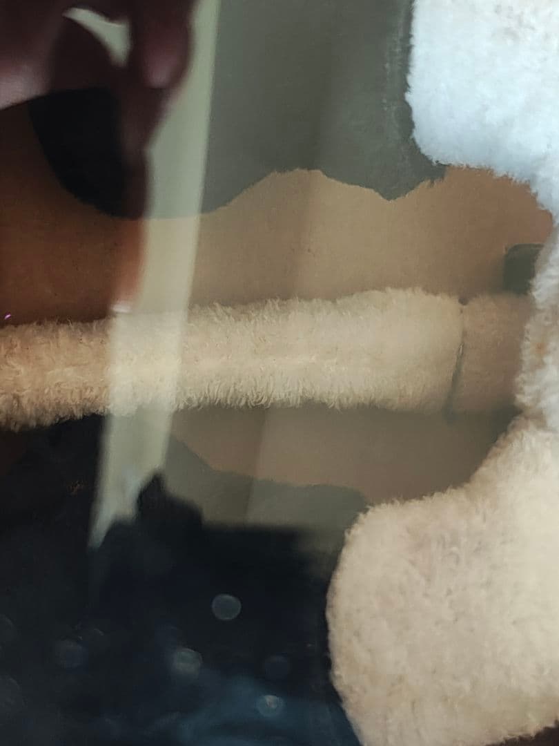 【bump of chicken】ニコル ぬいぐるみ 箱付き　※小さいシミあり