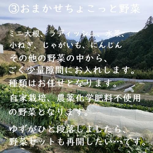 柚のや★送料込★高知県産ゆず酢900ml 4本 熟しぼり★農薬不使用★柚子酢