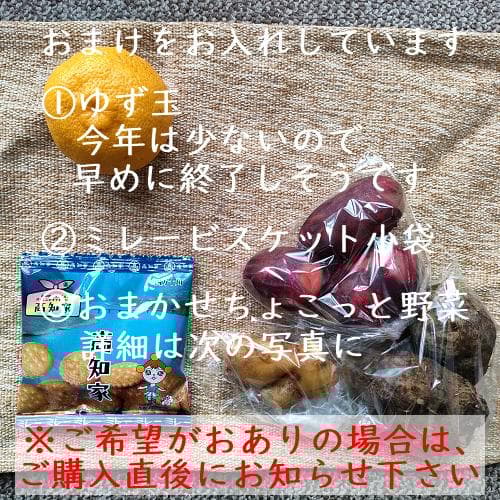 柚のや★送料込★高知県産ゆず酢900ml 4本 熟しぼり★農薬不使用★柚子酢
