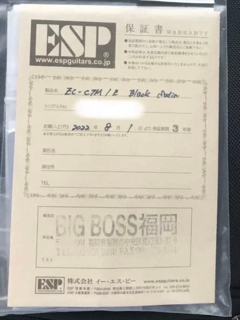 【最終値下げ】ESP Eclipse Custom(EC-CTM)