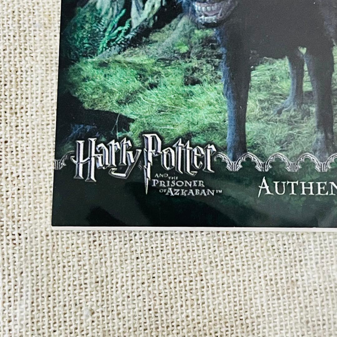 ハリーポッターとアズカバンの囚人　クリーチャーカード　シリウス・ブラック