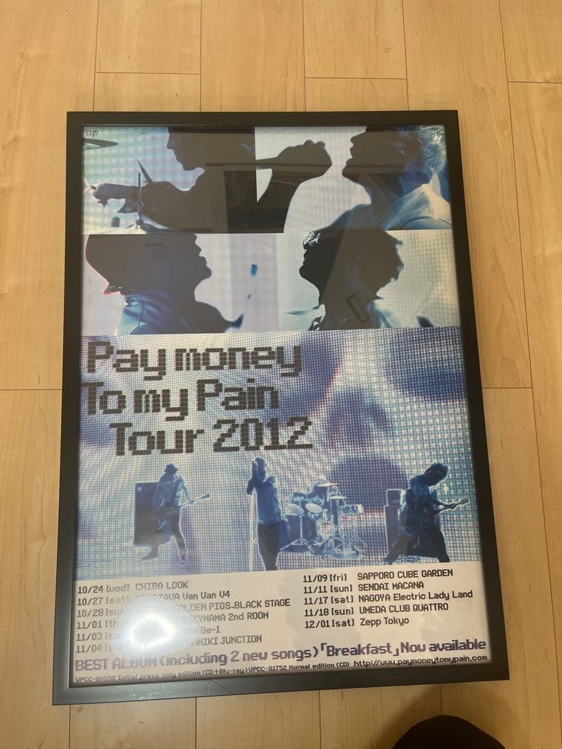 Pay money To my Pain Tour 2012 ポスター