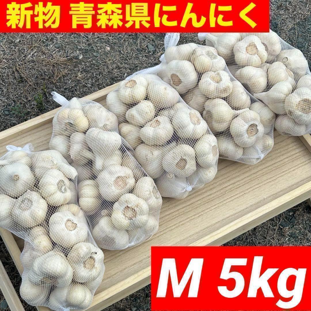 【大特価】新物 青森県産 にんにく M 5kg 福地ホワイト 種おすすめ 加工