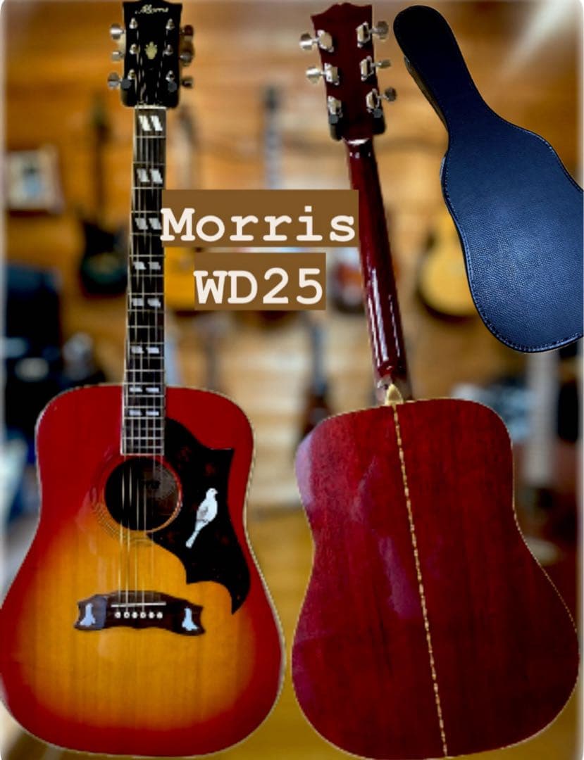 専用！morris モーリスWD25 DOVE モデルクリーニング済ケース無し