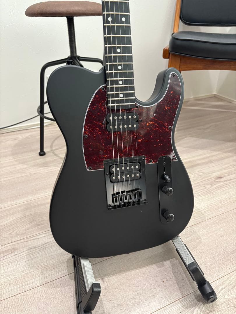 ポチョムキン　Harley Benton TE-20HH SBK