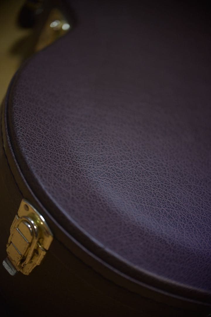 タカミネTakamine アコースティックギター ブラック　状態良し