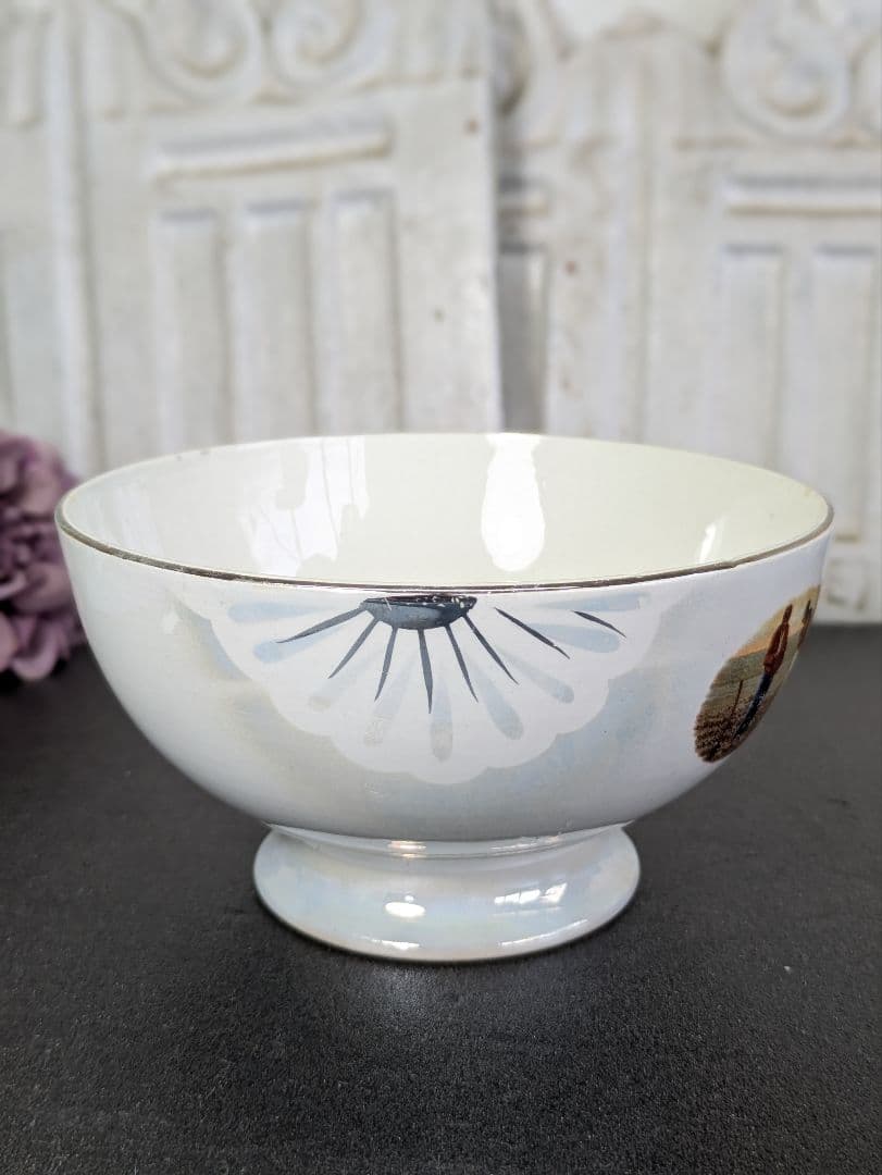 大サイズ フランス アンティーク カフェオレボウル Badonville