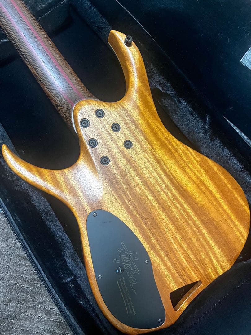 Mayones Hydra Elite 7 VF Trans Black 7弦